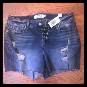 Never been worn Torrid Distressed Shorts 🌞